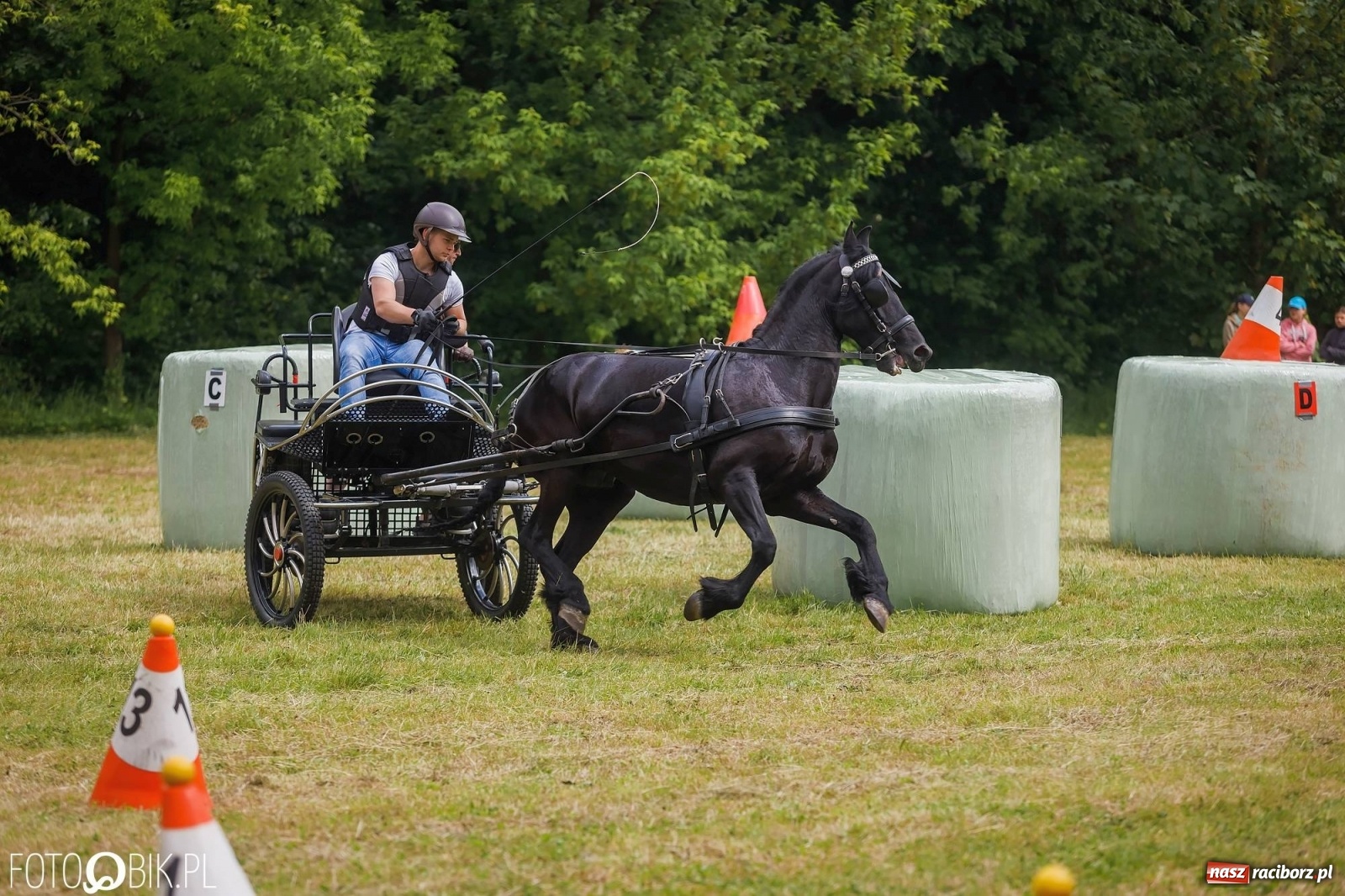 Zdjęcie w galerii na portalu naszraciborz.pl: W siodłach i zaprzęgach. Zawody konne w Łubowicach wiadomości z regionu