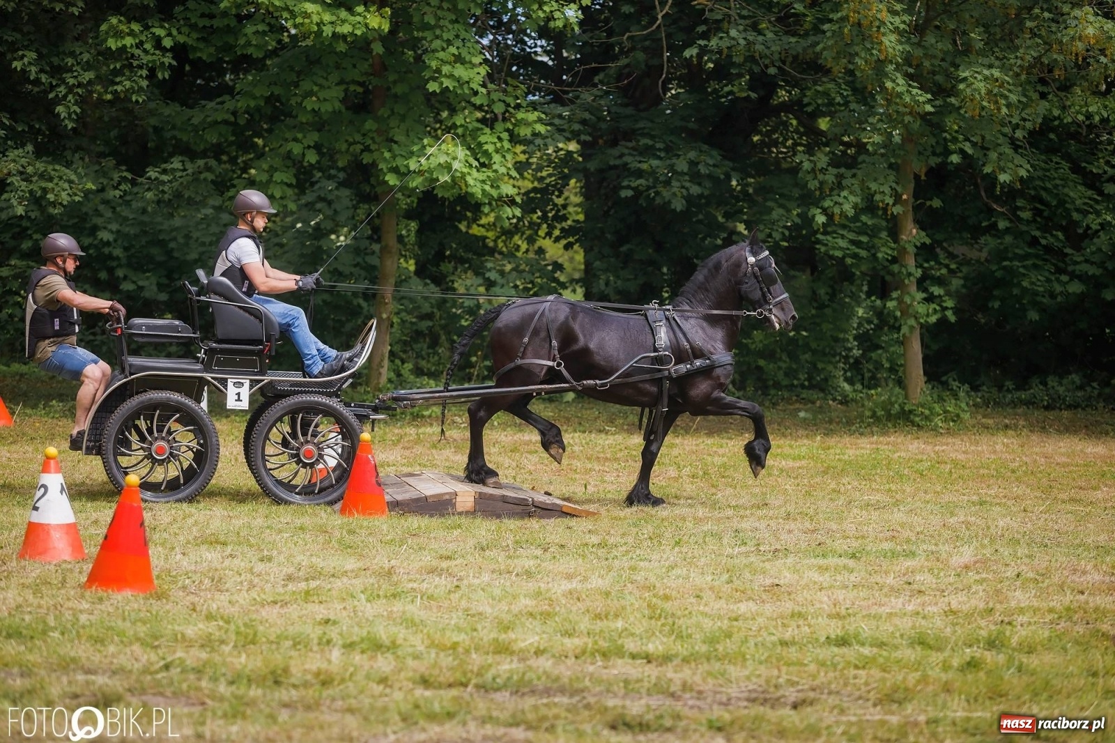 Zdjęcie w galerii na portalu naszraciborz.pl: W siodłach i zaprzęgach. Zawody konne w Łubowicach wiadomości z regionu