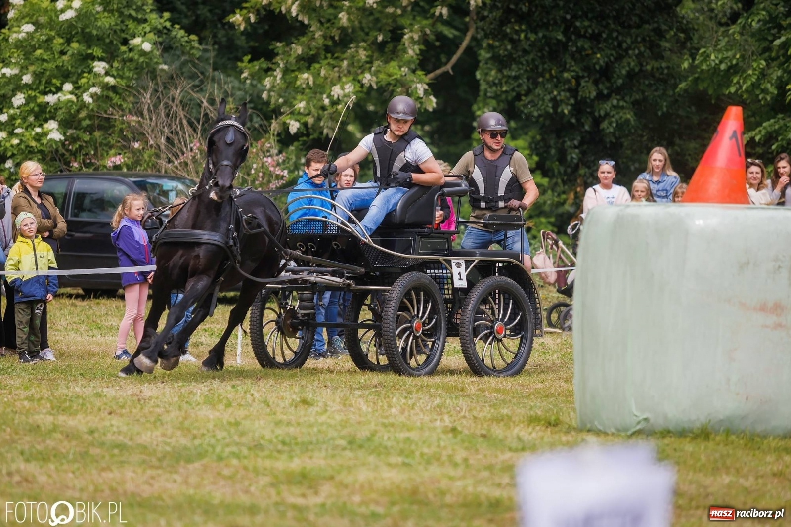 Zdjęcie w galerii na portalu naszraciborz.pl: W siodłach i zaprzęgach. Zawody konne w Łubowicach wiadomości z regionu