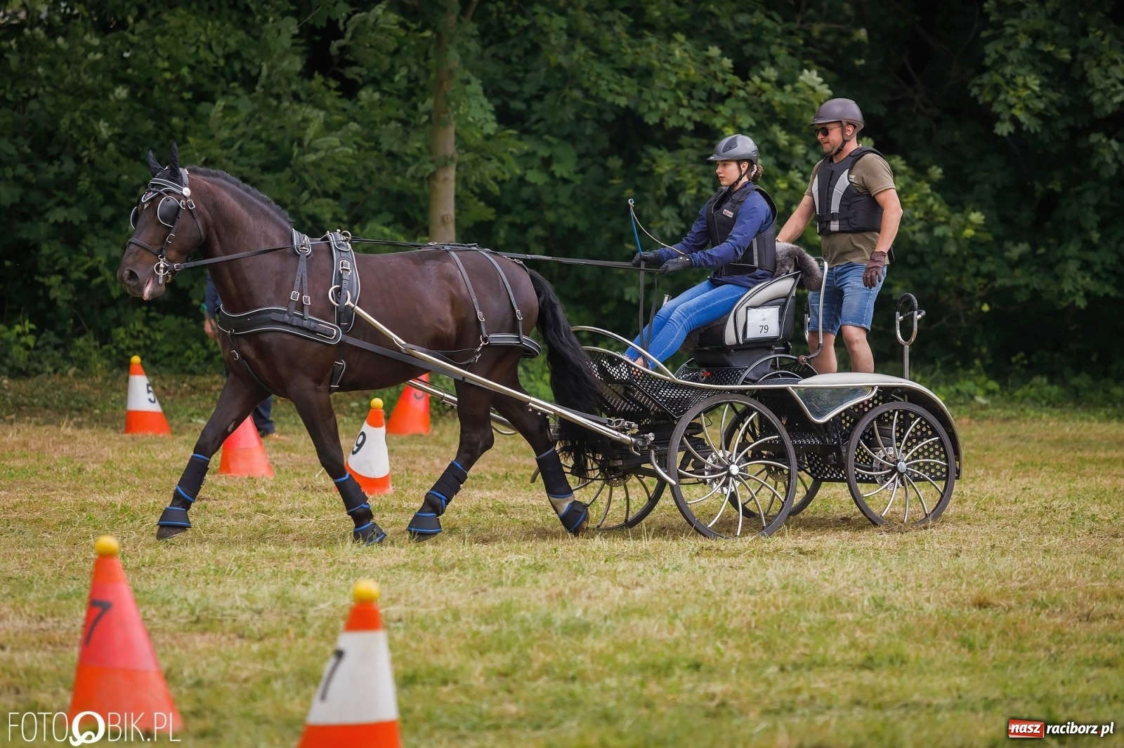 Zdjęcie w galerii na portalu naszraciborz.pl: W siodłach i zaprzęgach. Zawody konne w Łubowicach wiadomości z regionu