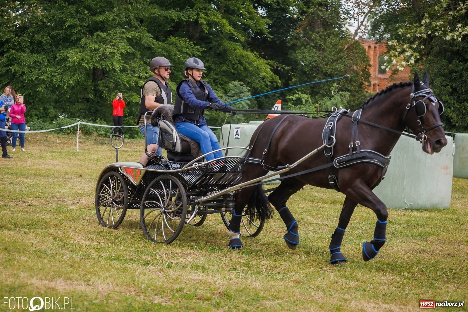 Zdjęcie w galerii na portalu naszraciborz.pl: W siodłach i zaprzęgach. Zawody konne w Łubowicach wiadomości z regionu