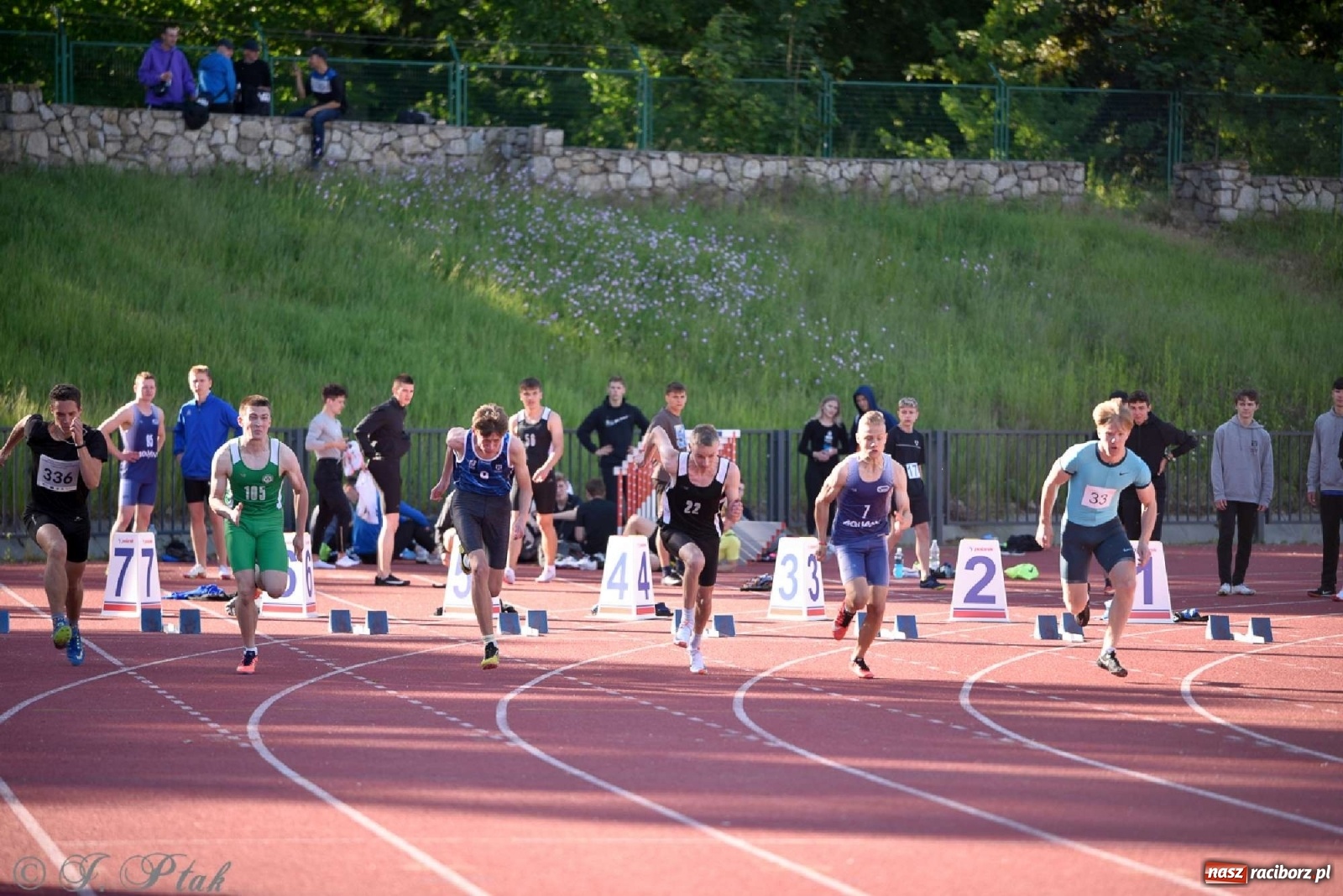 Zdjęcie w galerii na portalu naszraciborz.pl: LA. Wysoki poziom na śląskim championacie juniorów w Raciborzu wiadomości z regionu
