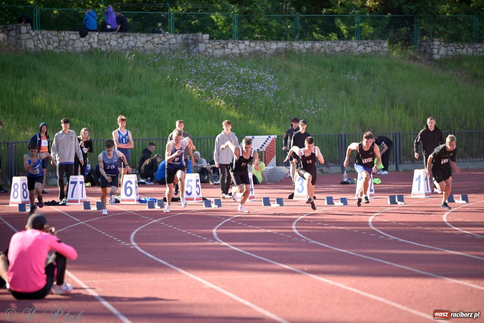 Zdjęcie w galerii na portalu naszraciborz.pl: LA. Wysoki poziom na śląskim championacie juniorów w Raciborzu wiadomości z regionu