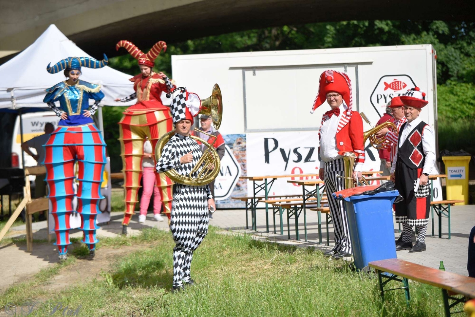 Zdjęcie w galerii na portalu naszraciborz.pl: Wielkie gwiazdy czy rodzinne pikniki? [SONDA] wiadomości z regionu