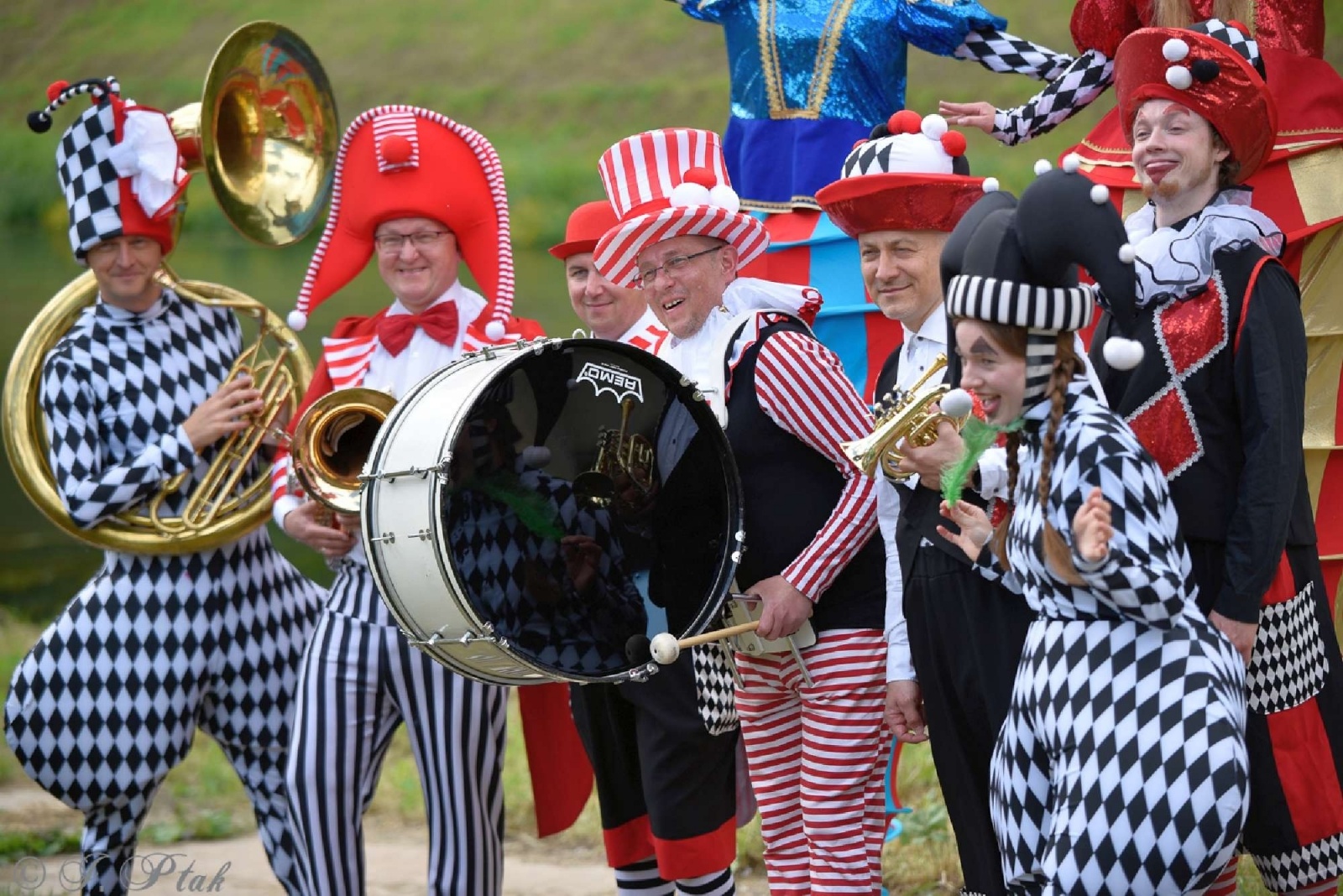 Zdjęcie w galerii na portalu naszraciborz.pl: Wielkie gwiazdy czy rodzinne pikniki? [SONDA] wiadomości z regionu