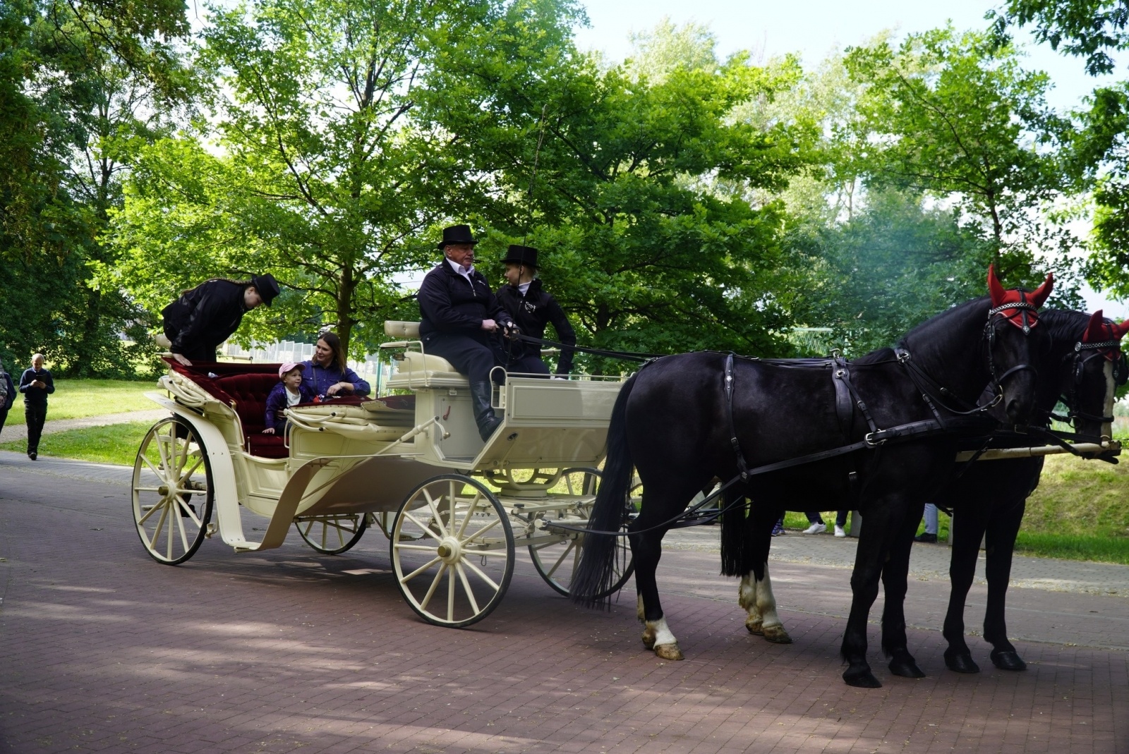 Zdjęcie w galerii na portalu naszraciborz.pl: Wielkie gwiazdy czy rodzinne pikniki? [SONDA] wiadomości z regionu