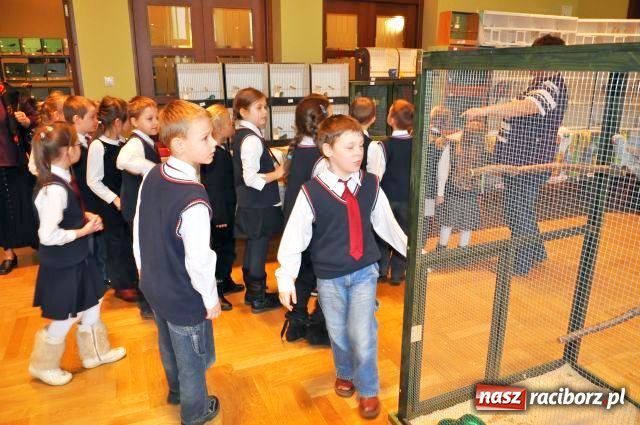 Zdjęcie w galerii na portalu naszraciborz.pl: Ptaki piękne i kolorowe wiadomości z regionu