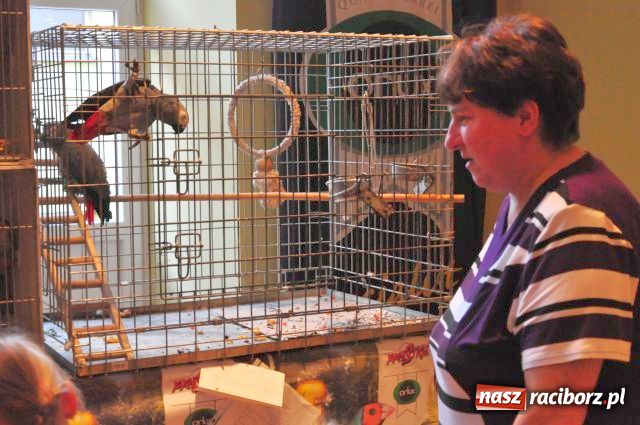 Zdjęcie w galerii na portalu naszraciborz.pl: Ptaki piękne i kolorowe wiadomości z regionu