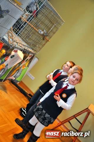 Zdjęcie w galerii na portalu naszraciborz.pl: Ptaki piękne i kolorowe wiadomości z regionu