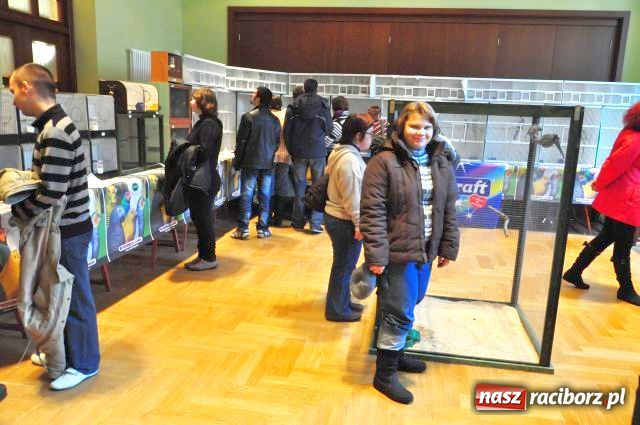 Zdjęcie w galerii na portalu naszraciborz.pl: Ptaki piękne i kolorowe wiadomości z regionu