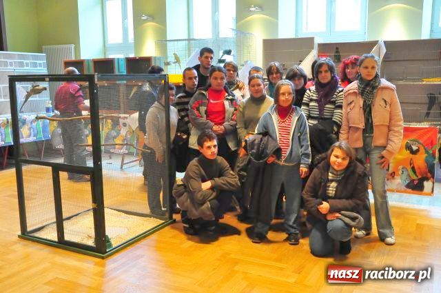 Zdjęcie w galerii na portalu naszraciborz.pl: Ptaki piękne i kolorowe wiadomości z regionu