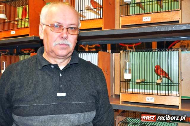 Zdjęcie w galerii na portalu naszraciborz.pl: Ptaki piękne i kolorowe wiadomości z regionu