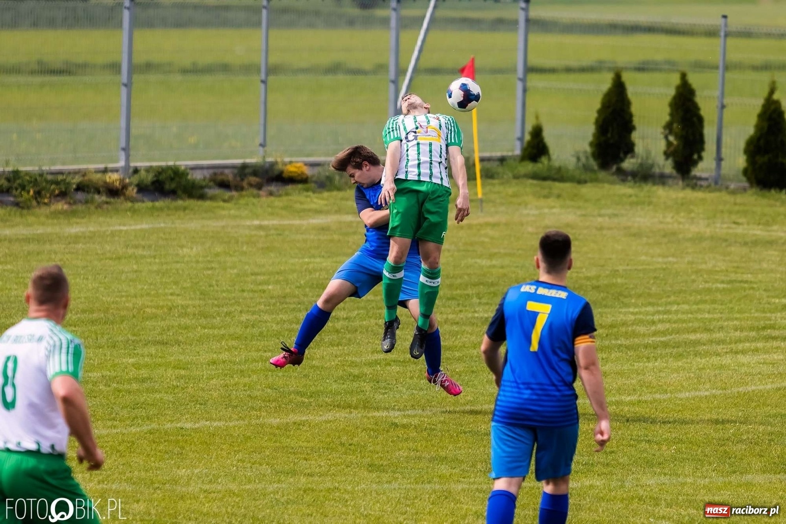 Zdjęcie w galerii na portalu naszraciborz.pl: Bolesław kontra Brzezie. Dwie równe połowy zakończone podziałem punktów [FOTO] wiadomości z regionu