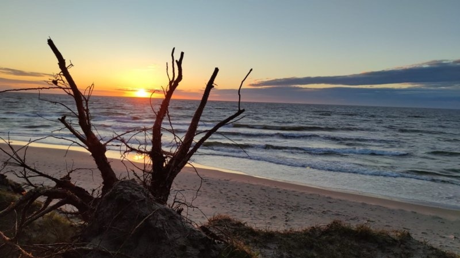 Zdjęcie w galerii na portalu naszraciborz.pl: Tak wygląda baza w Pleśnej przygotowana do sezonu wiadomości z regionu