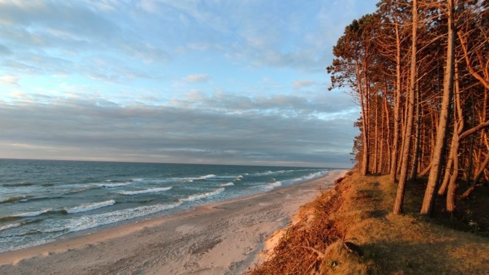 Zdjęcie w galerii na portalu naszraciborz.pl: Tak wygląda baza w Pleśnej przygotowana do sezonu wiadomości z regionu