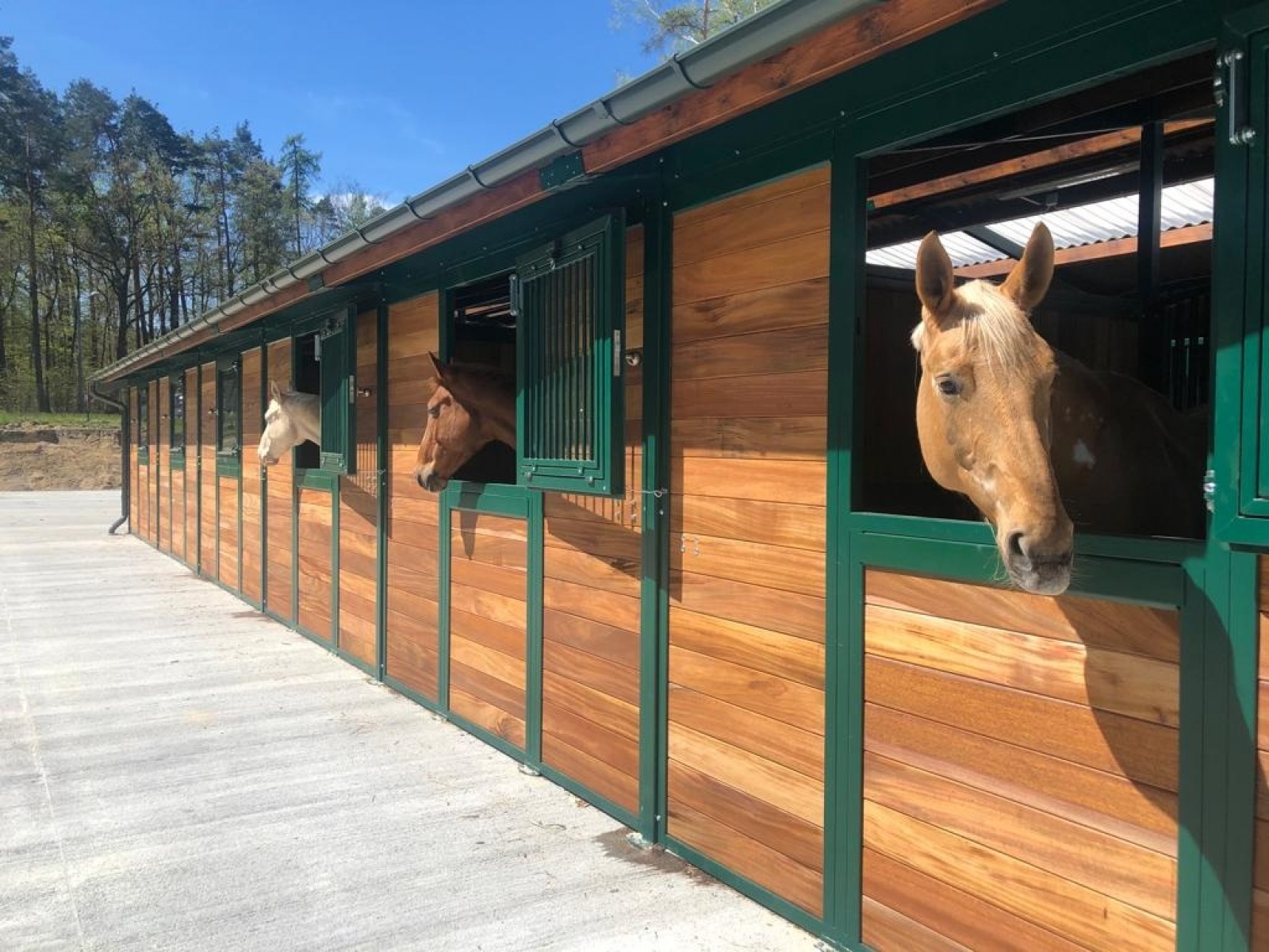 Zdjęcie w galerii na portalu naszraciborz.pl: Klub jeździecki Szymocice zaprasza na Dzień Dziecka wiadomości z regionu