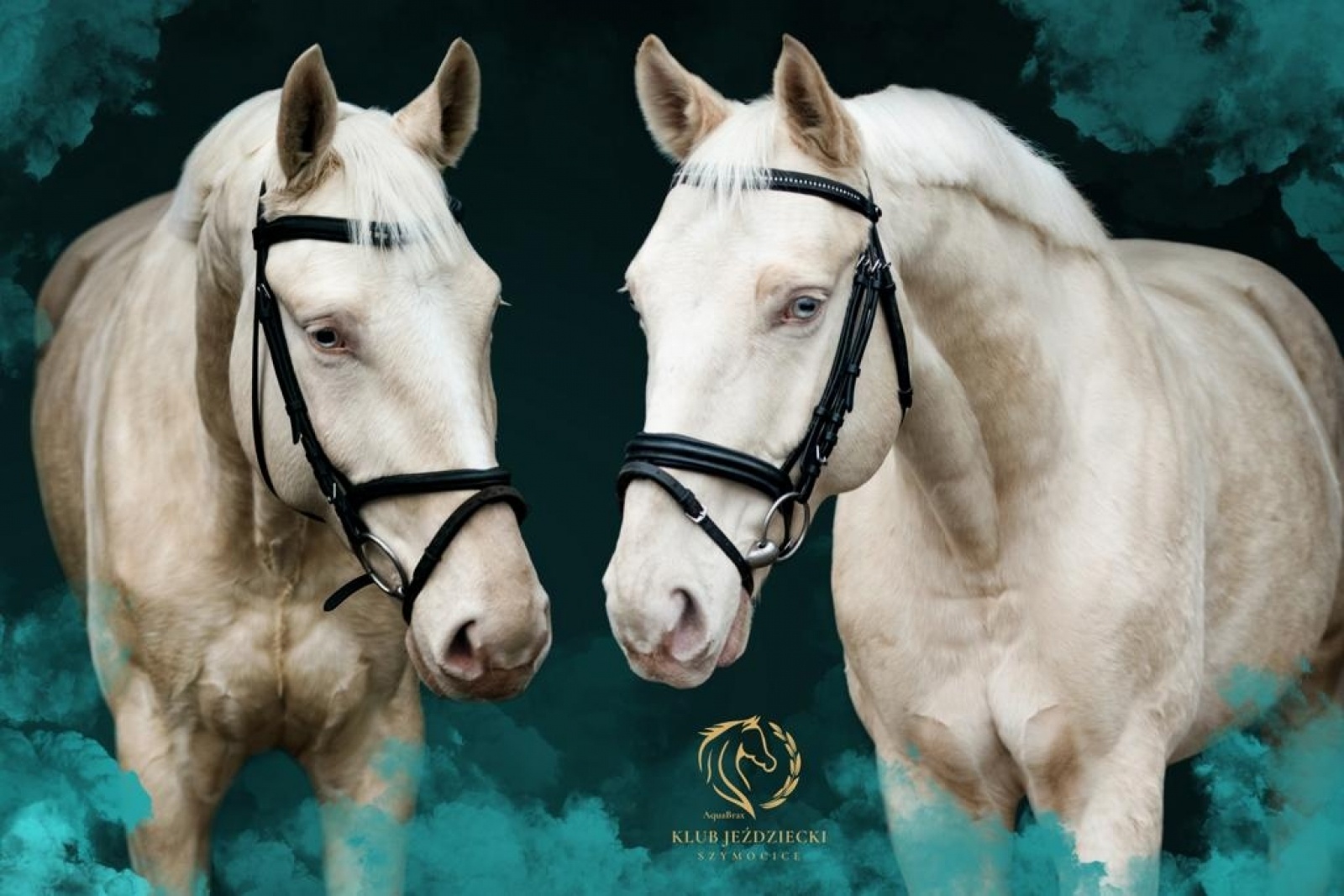 Zdjęcie w galerii na portalu naszraciborz.pl: Klub jeździecki Szymocice zaprasza na Dzień Dziecka wiadomości z regionu