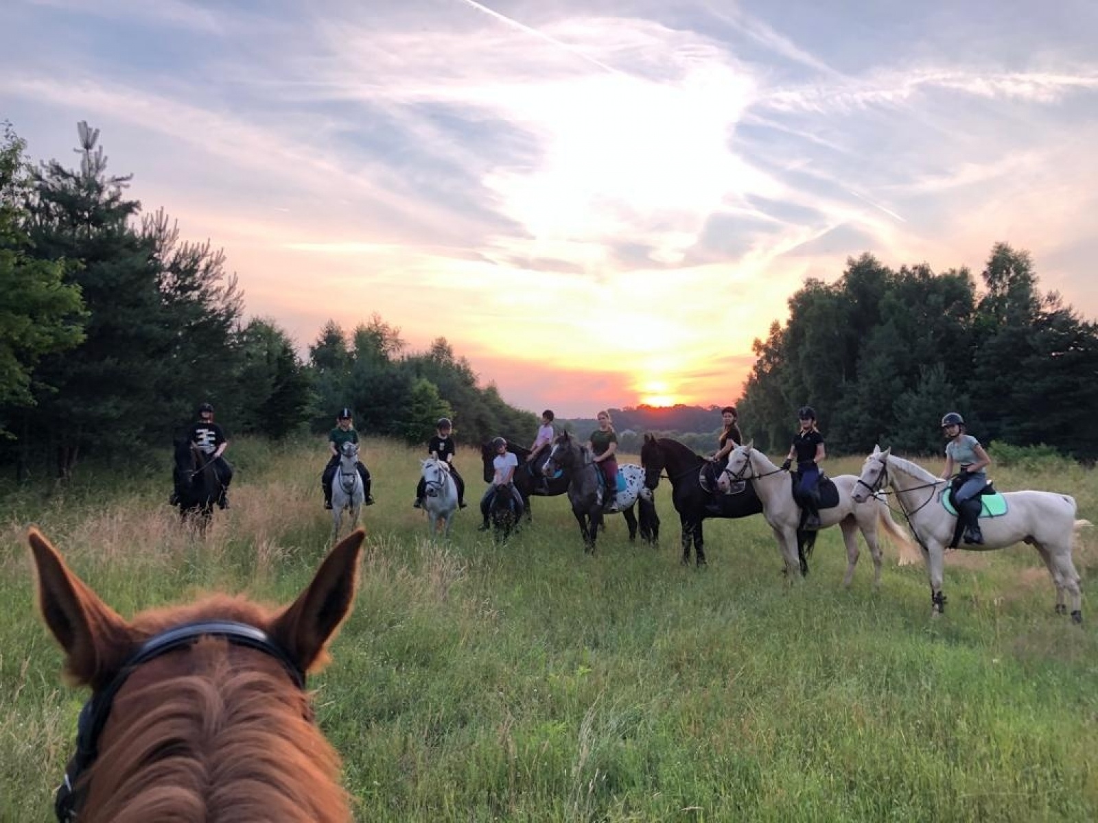 Zdjęcie w galerii na portalu naszraciborz.pl: Klub jeździecki Szymocice zaprasza na Dzień Dziecka wiadomości z regionu