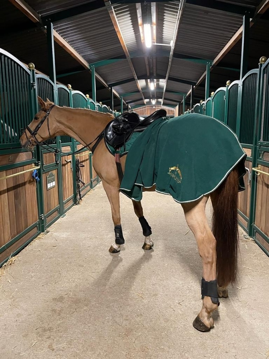 Zdjęcie w galerii na portalu naszraciborz.pl: Klub jeździecki Szymocice zaprasza na Dzień Dziecka wiadomości z regionu