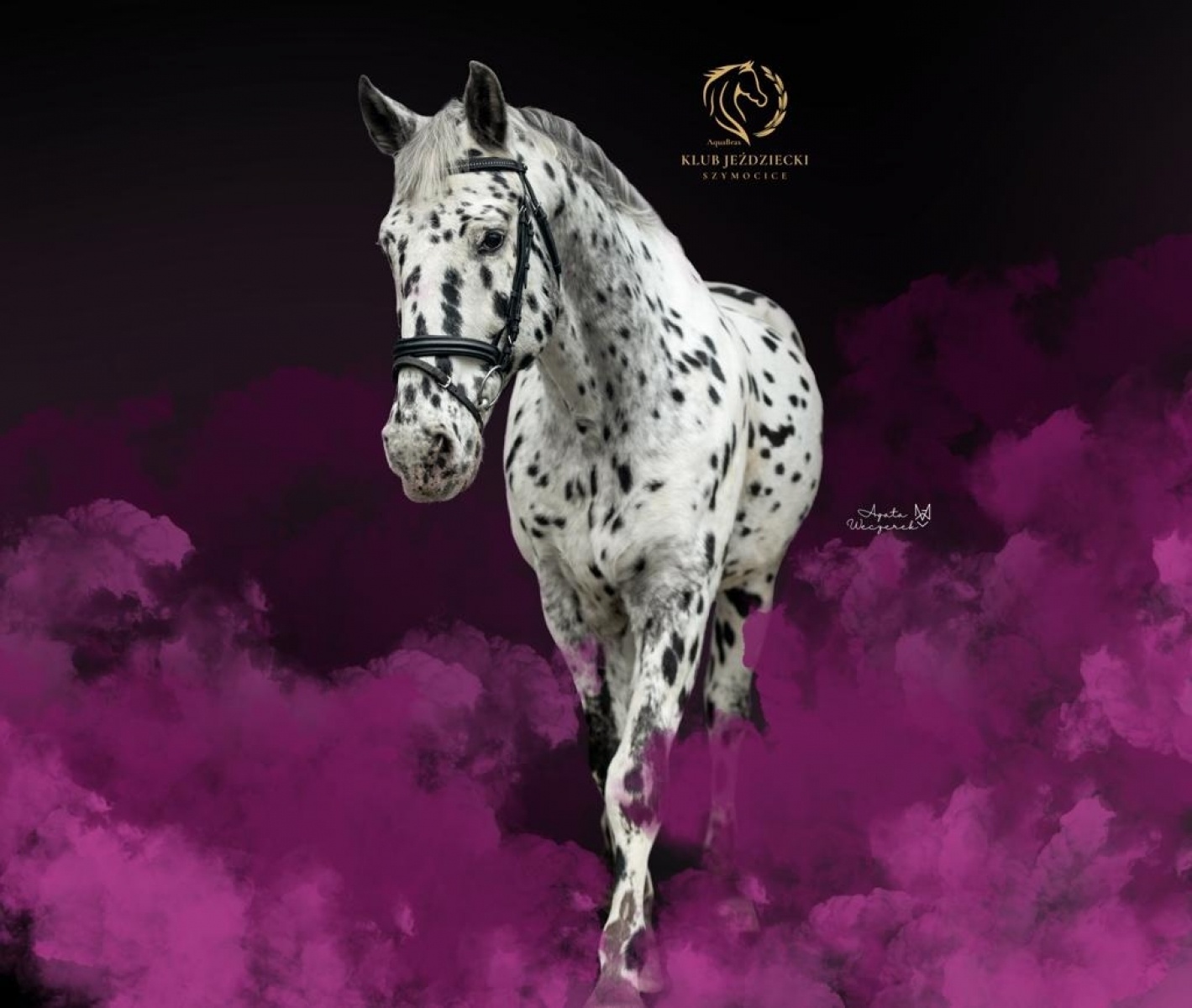 Zdjęcie w galerii na portalu naszraciborz.pl: Klub jeździecki Szymocice zaprasza na Dzień Dziecka wiadomości z regionu