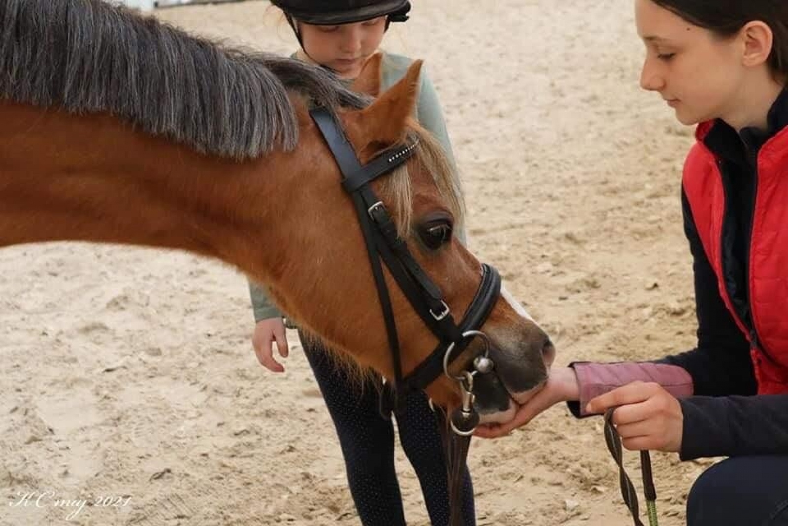 Zdjęcie w galerii na portalu naszraciborz.pl: Klub jeździecki Szymocice zaprasza na Dzień Dziecka wiadomości z regionu