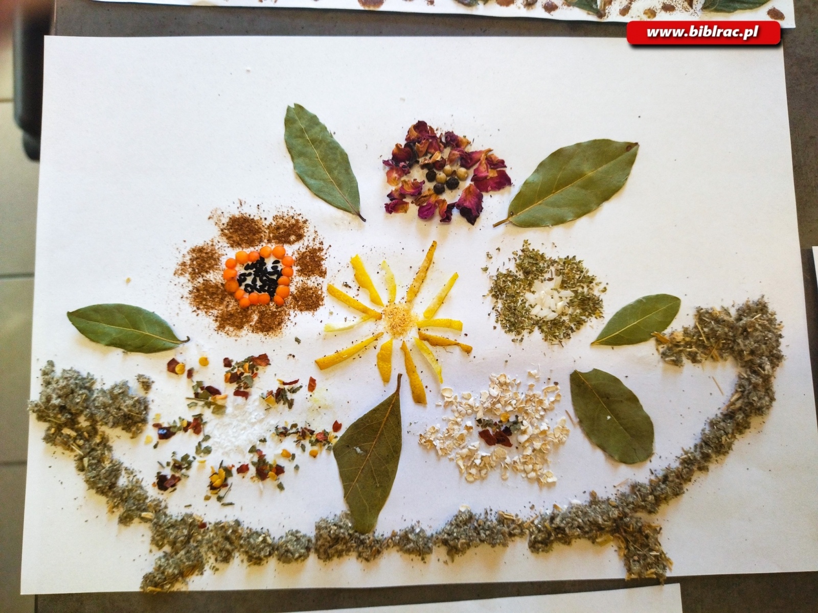 Zdjęcie w galerii na portalu naszraciborz.pl: Pachnące obrazy w Markowicach wiadomości z regionu