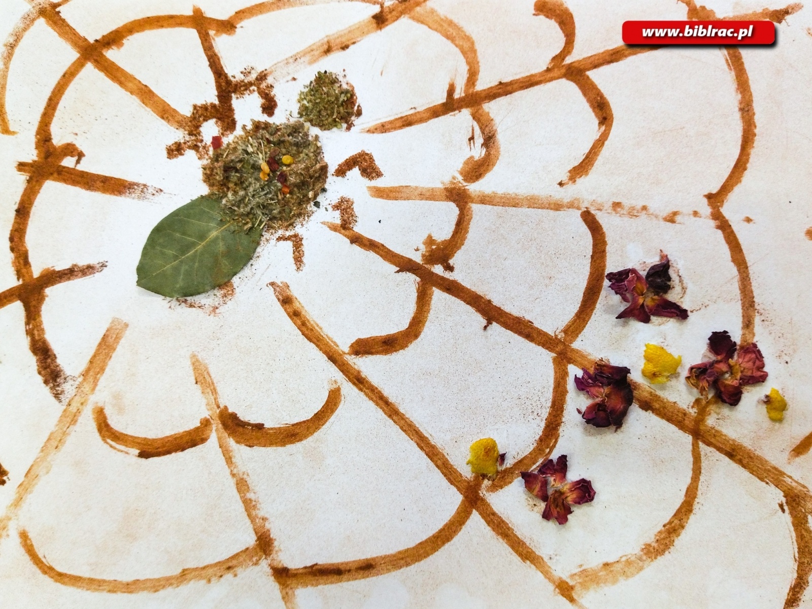 Zdjęcie w galerii na portalu naszraciborz.pl: Pachnące obrazy w Markowicach wiadomości z regionu