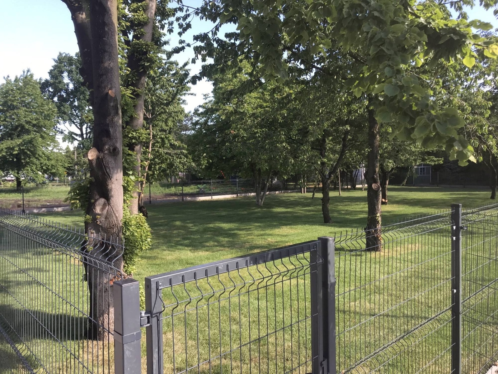 Zdjęcie w galerii na portalu naszraciborz.pl: List do redakcji. Rodzice rozczarowani obietnicami prezydenta i naczelnika oświaty wiadomości z regionu