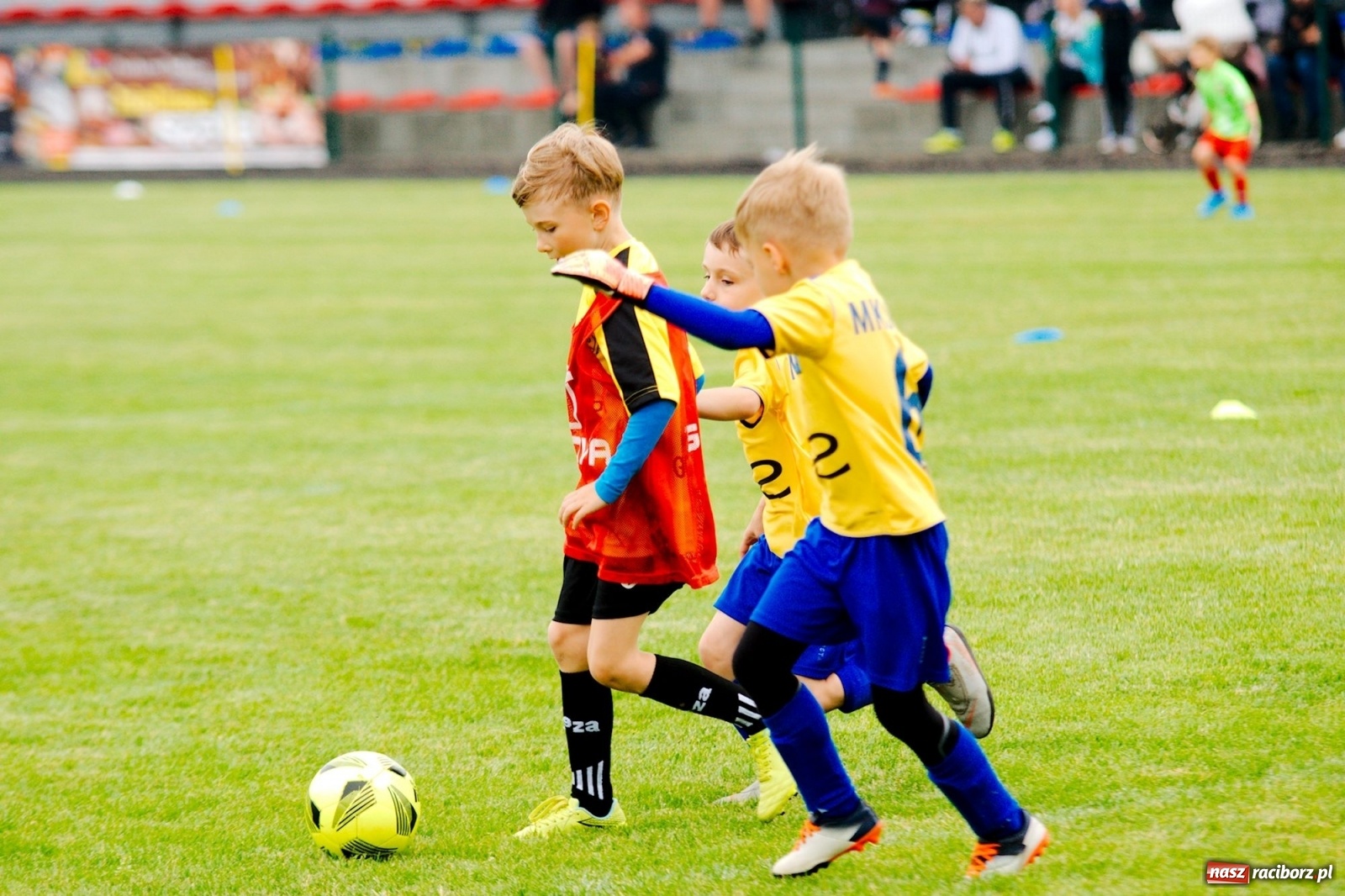 Zdjęcie w galerii na portalu naszraciborz.pl: Walka o każdą piłkę. Ruszyła IX edycja Tworków Cup [FOTO] wiadomości z regionu