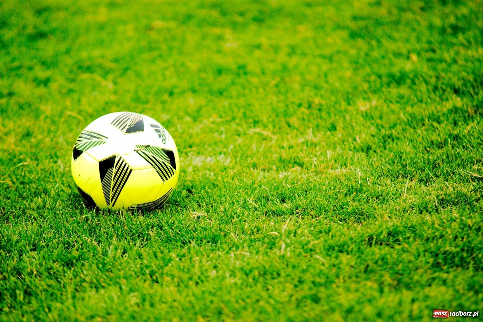 Zdjęcie w galerii na portalu naszraciborz.pl: Walka o każdą piłkę. Ruszyła IX edycja Tworków Cup [FOTO] wiadomości z regionu