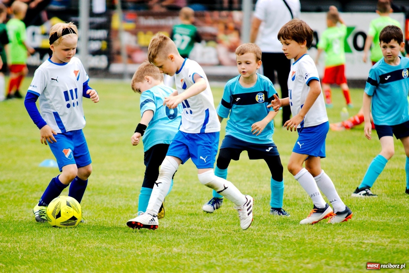 Zdjęcie w galerii na portalu naszraciborz.pl: Walka o każdą piłkę. Ruszyła IX edycja Tworków Cup [FOTO] wiadomości z regionu