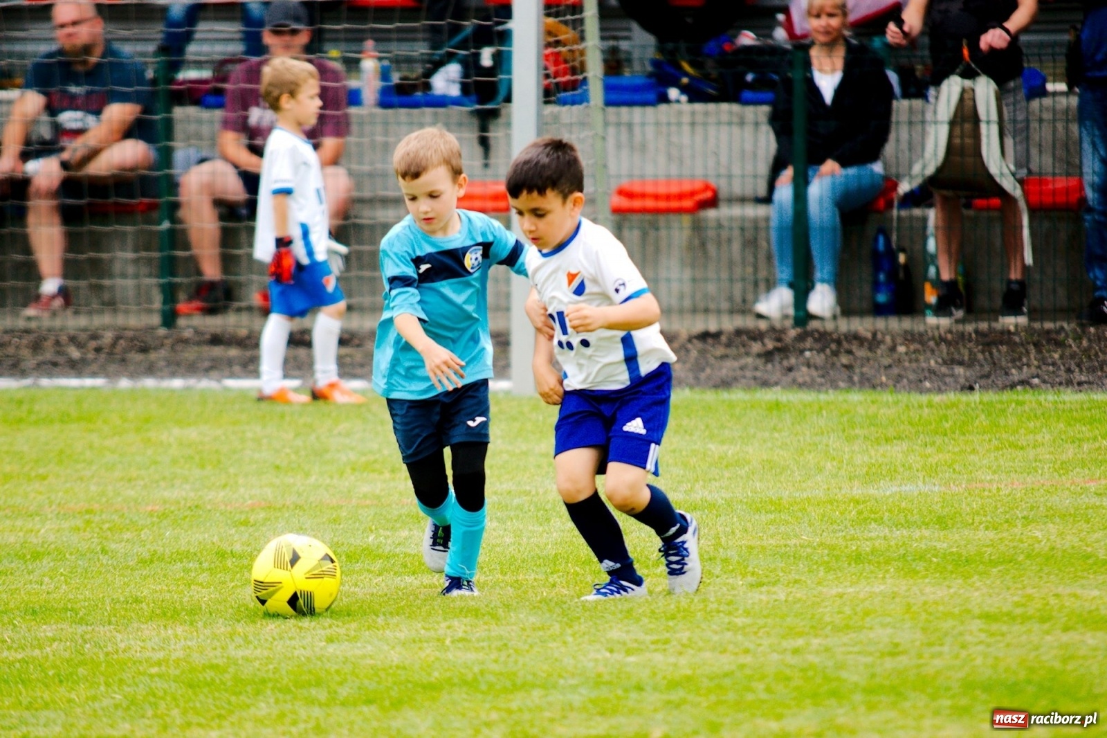 Zdjęcie w galerii na portalu naszraciborz.pl: Walka o każdą piłkę. Ruszyła IX edycja Tworków Cup [FOTO] wiadomości z regionu