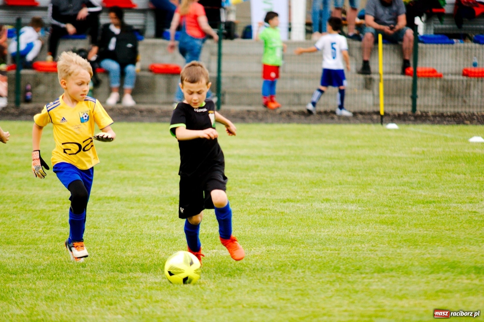 Zdjęcie w galerii na portalu naszraciborz.pl: Walka o każdą piłkę. Ruszyła IX edycja Tworków Cup [FOTO] wiadomości z regionu