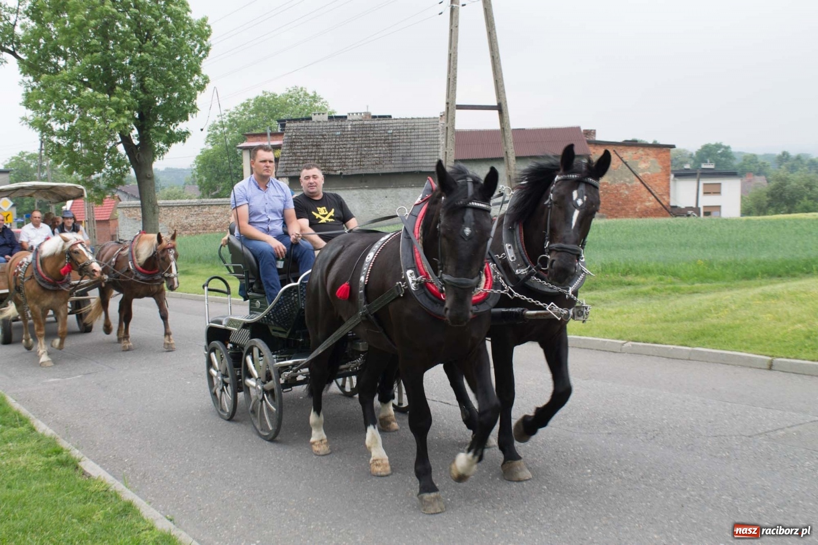Zdjęcie w galerii na portalu naszraciborz.pl: W Brzeziu odbyła się procesja na św. Urbana [FOTO i WIDEO] wiadomości z regionu