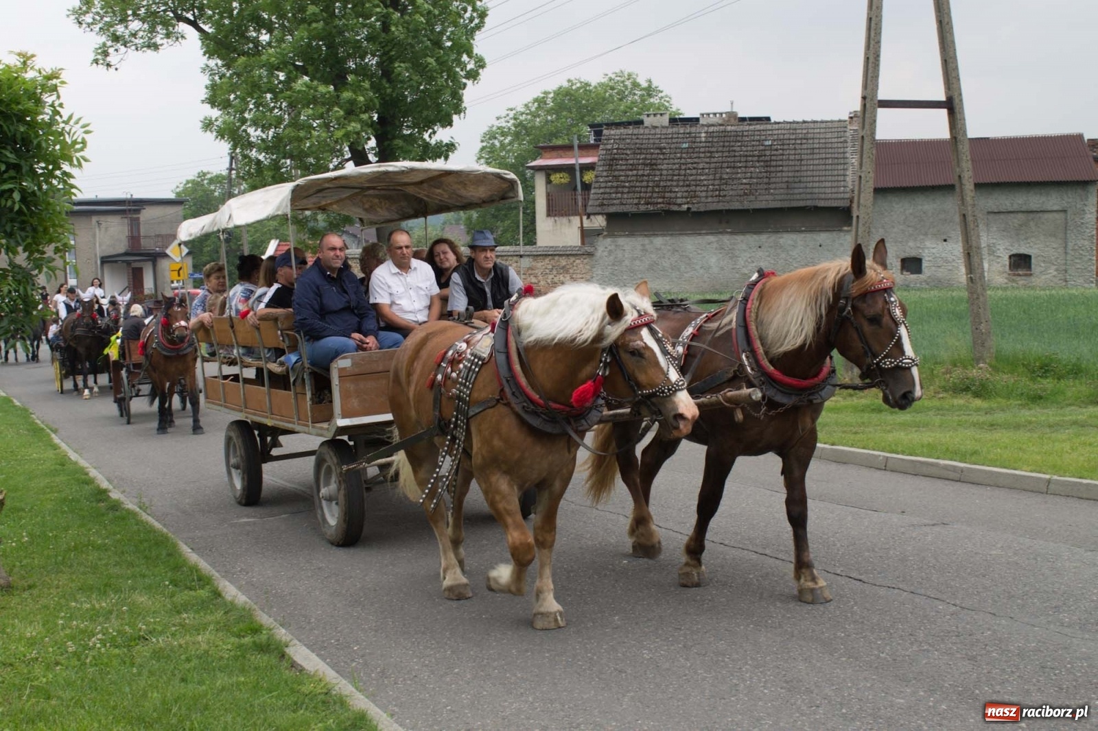 Zdjęcie w galerii na portalu naszraciborz.pl: W Brzeziu odbyła się procesja na św. Urbana [FOTO i WIDEO] wiadomości z regionu