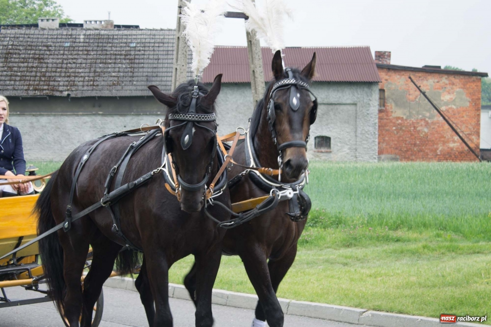 Zdjęcie w galerii na portalu naszraciborz.pl: W Brzeziu odbyła się procesja na św. Urbana [FOTO i WIDEO] wiadomości z regionu