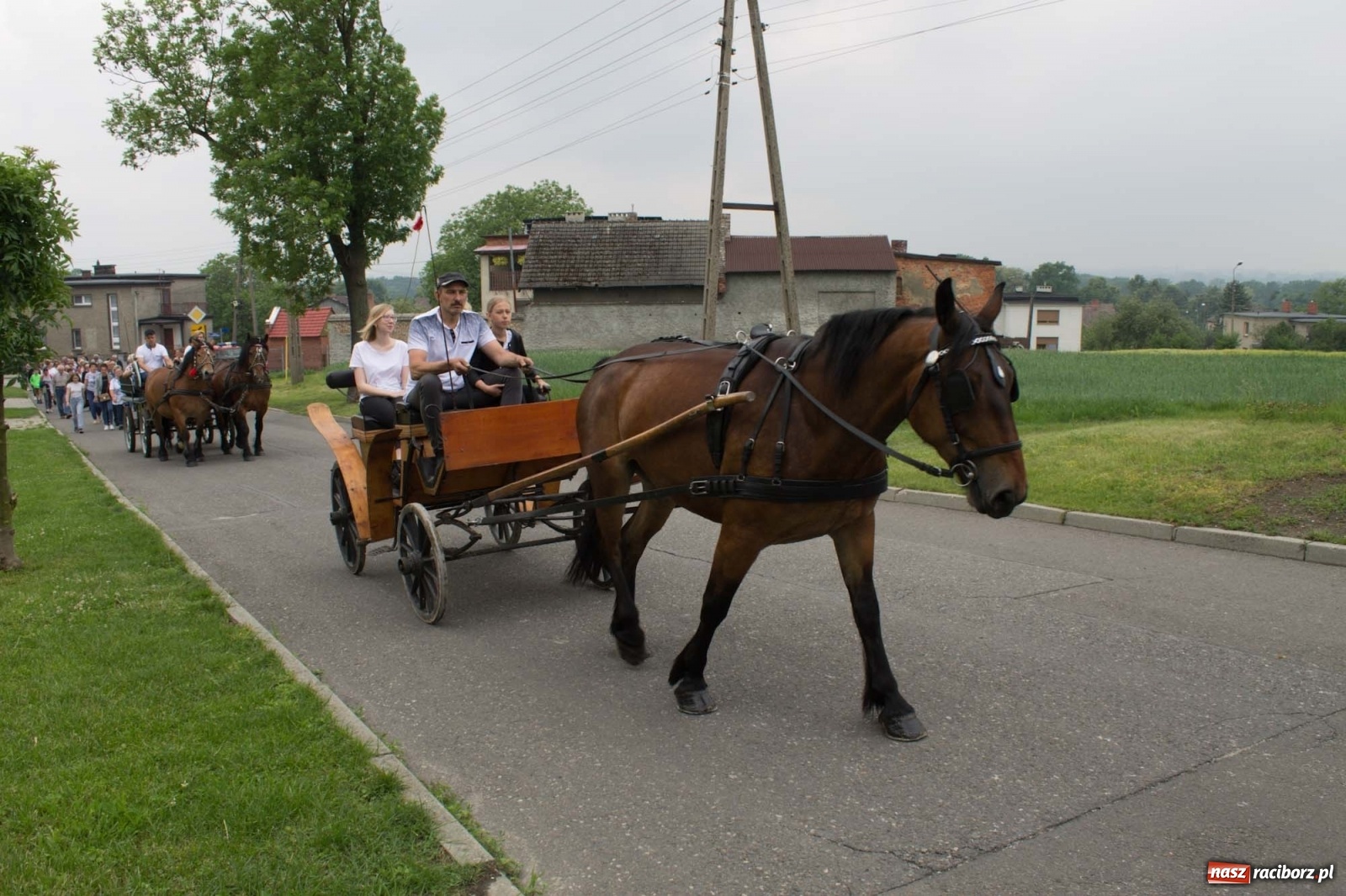 Zdjęcie w galerii na portalu naszraciborz.pl: W Brzeziu odbyła się procesja na św. Urbana [FOTO i WIDEO] wiadomości z regionu