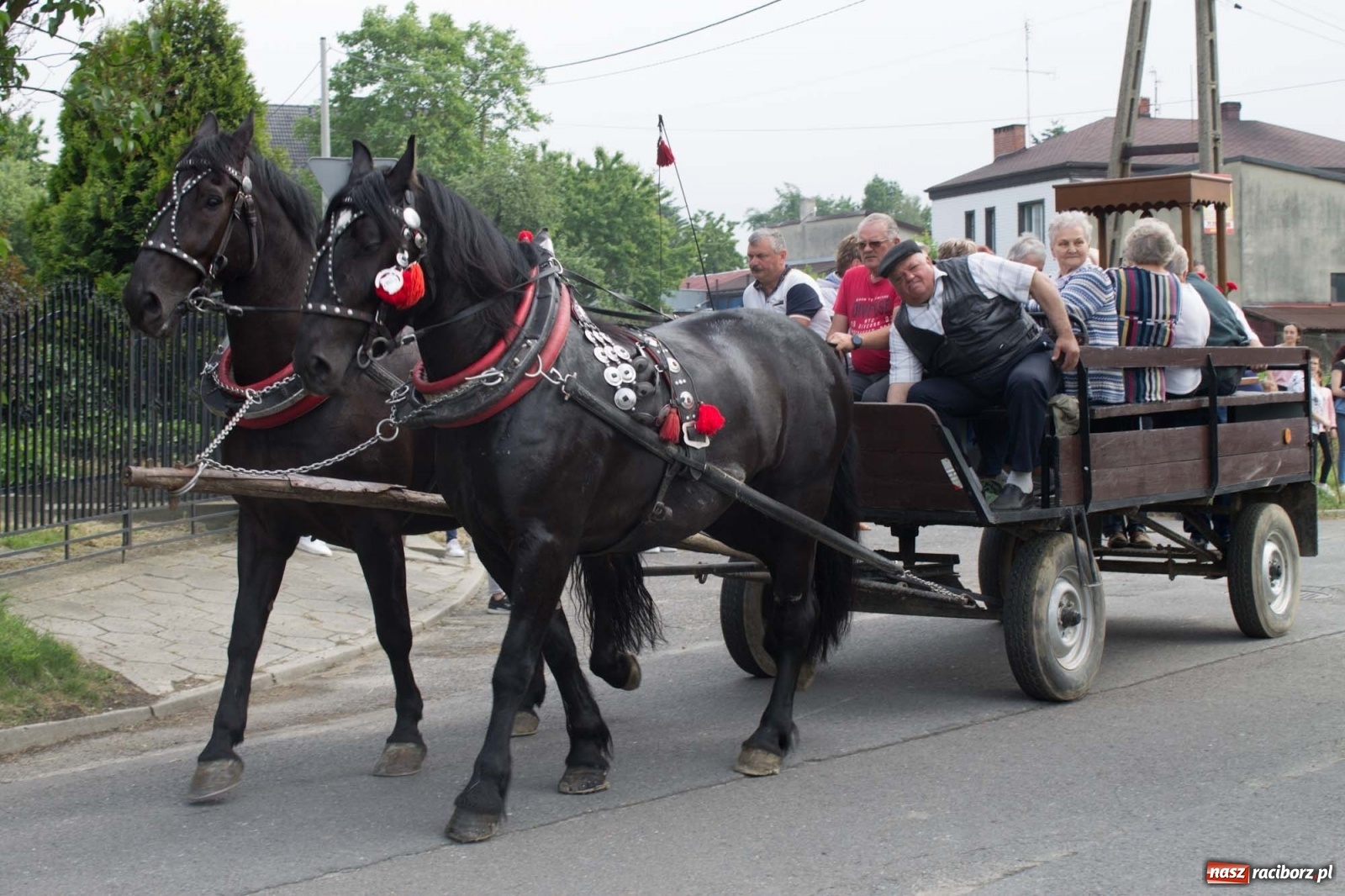 Zdjęcie w galerii na portalu naszraciborz.pl: W Brzeziu odbyła się procesja na św. Urbana [FOTO i WIDEO] wiadomości z regionu