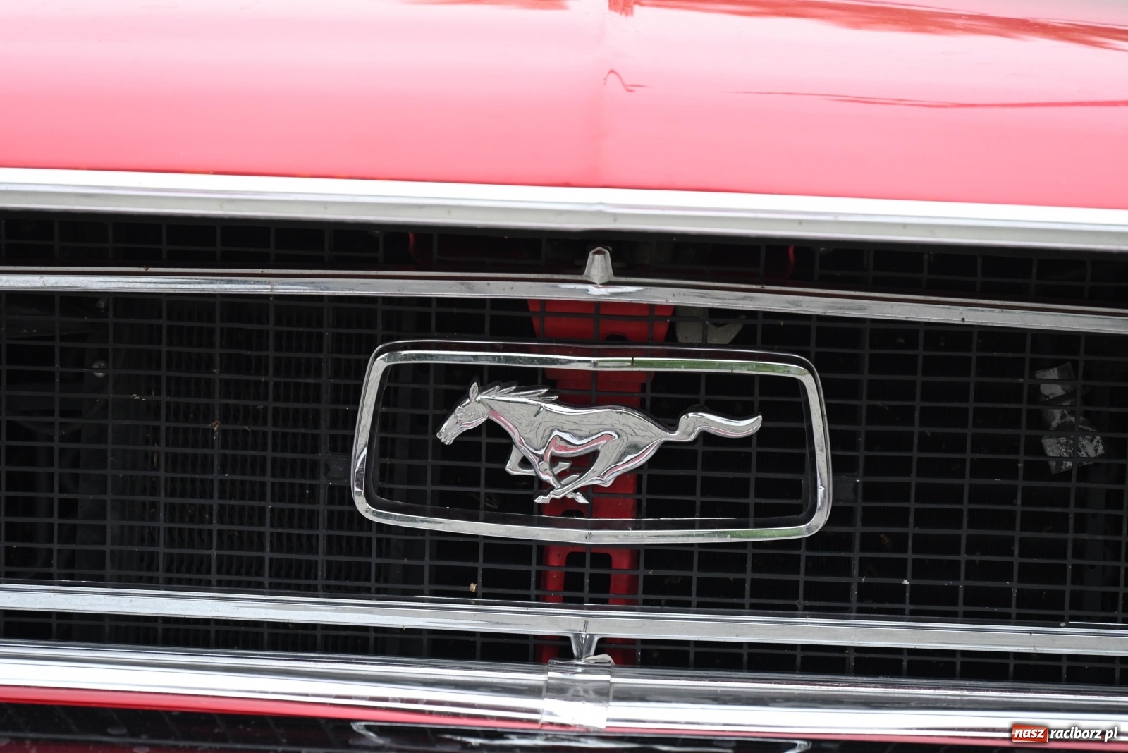 Zdjęcie w galerii na portalu naszraciborz.pl: Dwudziesty Rajd Pruski zawitał do Krzyżanowic wiadomości z regionu