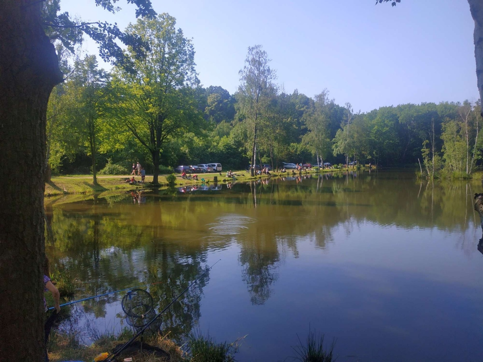 Zdjęcie w galerii na portalu naszraciborz.pl: Taaaka ryba. Najmłodsi wędkowali pod Oborą wiadomości z regionu