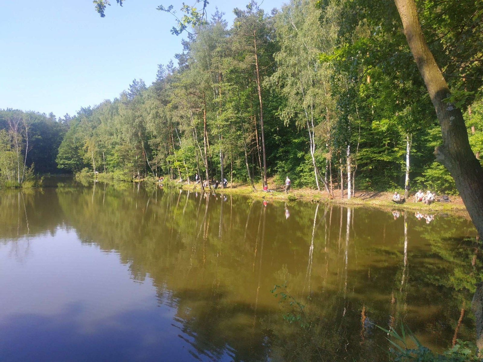 Zdjęcie w galerii na portalu naszraciborz.pl: Taaaka ryba. Najmłodsi wędkowali pod Oborą wiadomości z regionu