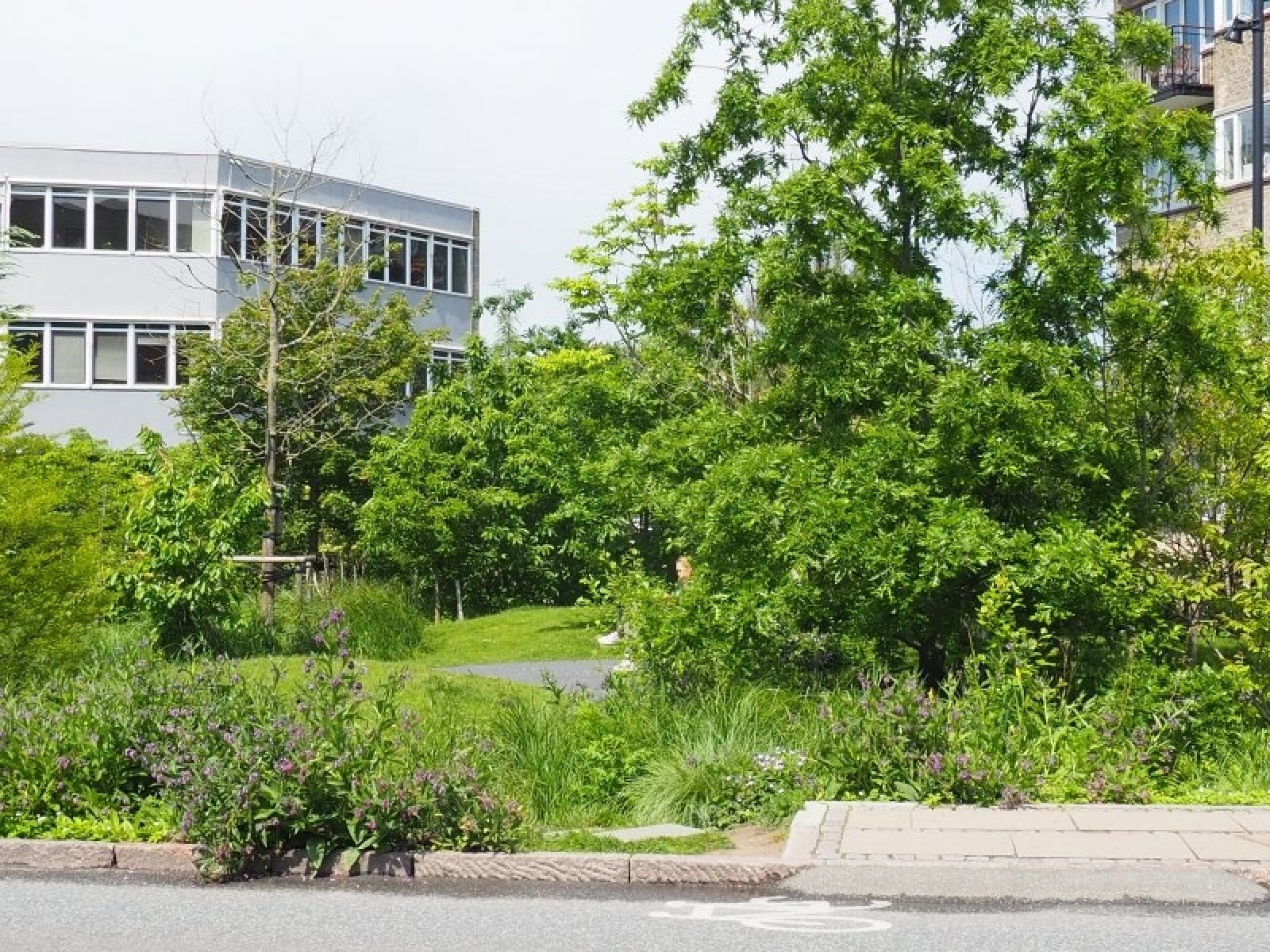 Zdjęcie w galerii na portalu naszraciborz.pl: Raciborska architekt miejska w Kopenhadze wiadomości z regionu
