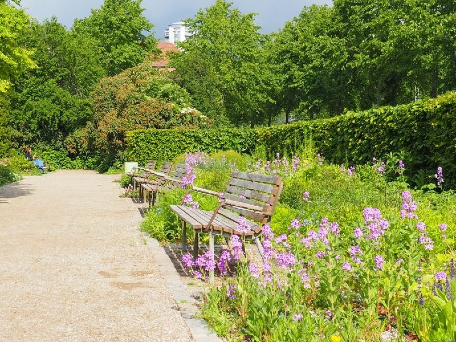 Zdjęcie w galerii na portalu naszraciborz.pl: Raciborska architekt miejska w Kopenhadze wiadomości z regionu