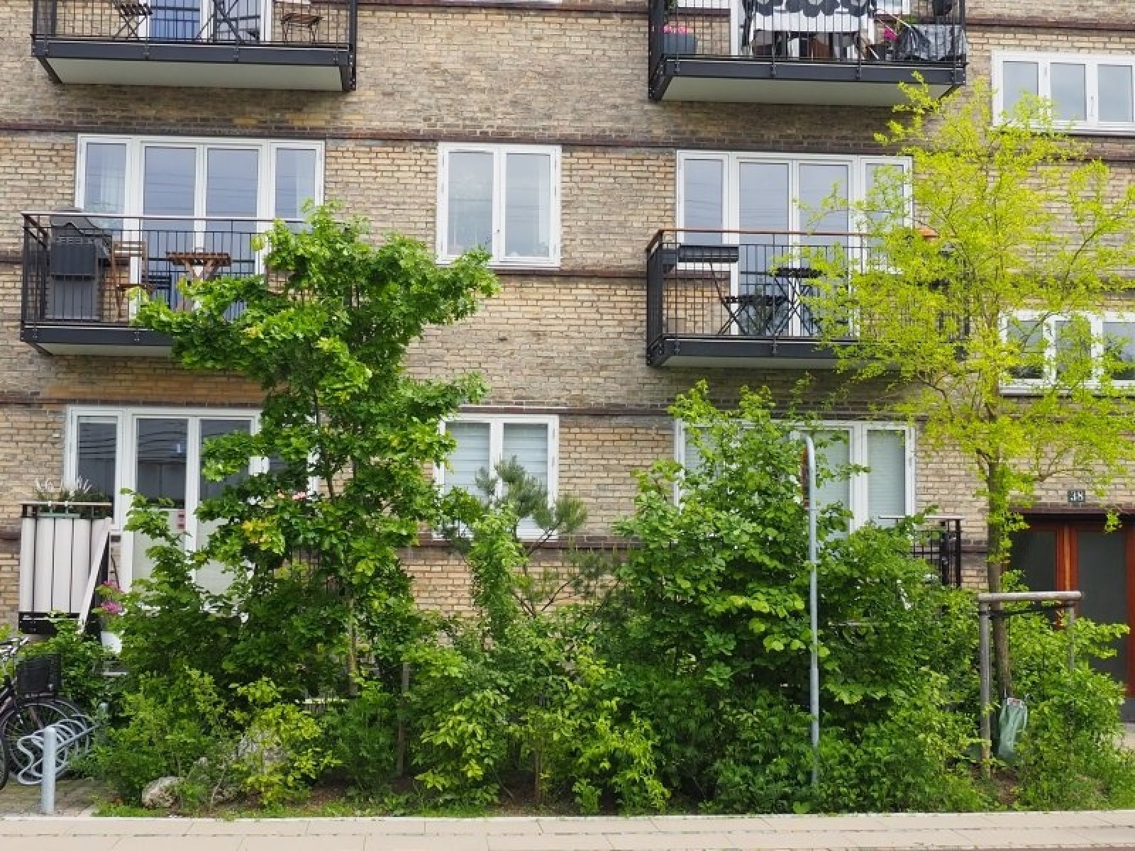 Zdjęcie w galerii na portalu naszraciborz.pl: Raciborska architekt miejska w Kopenhadze wiadomości z regionu