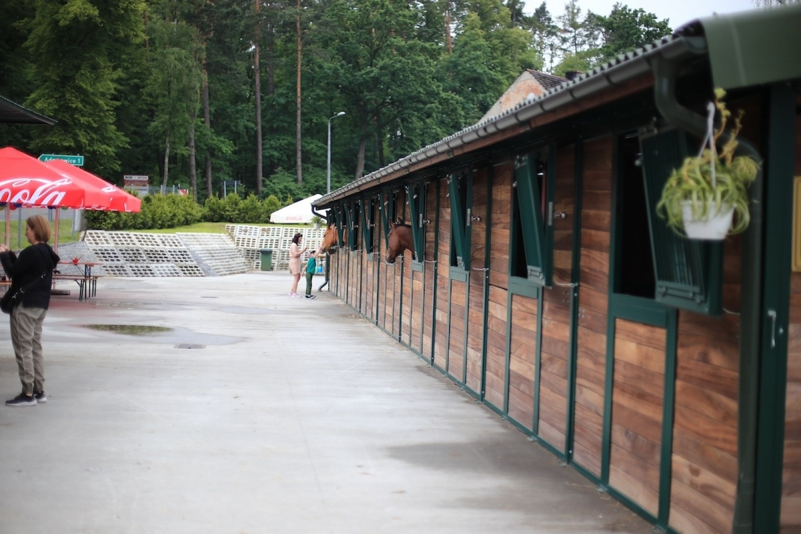 Zdjęcie w galerii na portalu naszraciborz.pl: Wielki piknik w Klubie Jeździeckim Aqua Brax Szymocice wiadomości z regionu