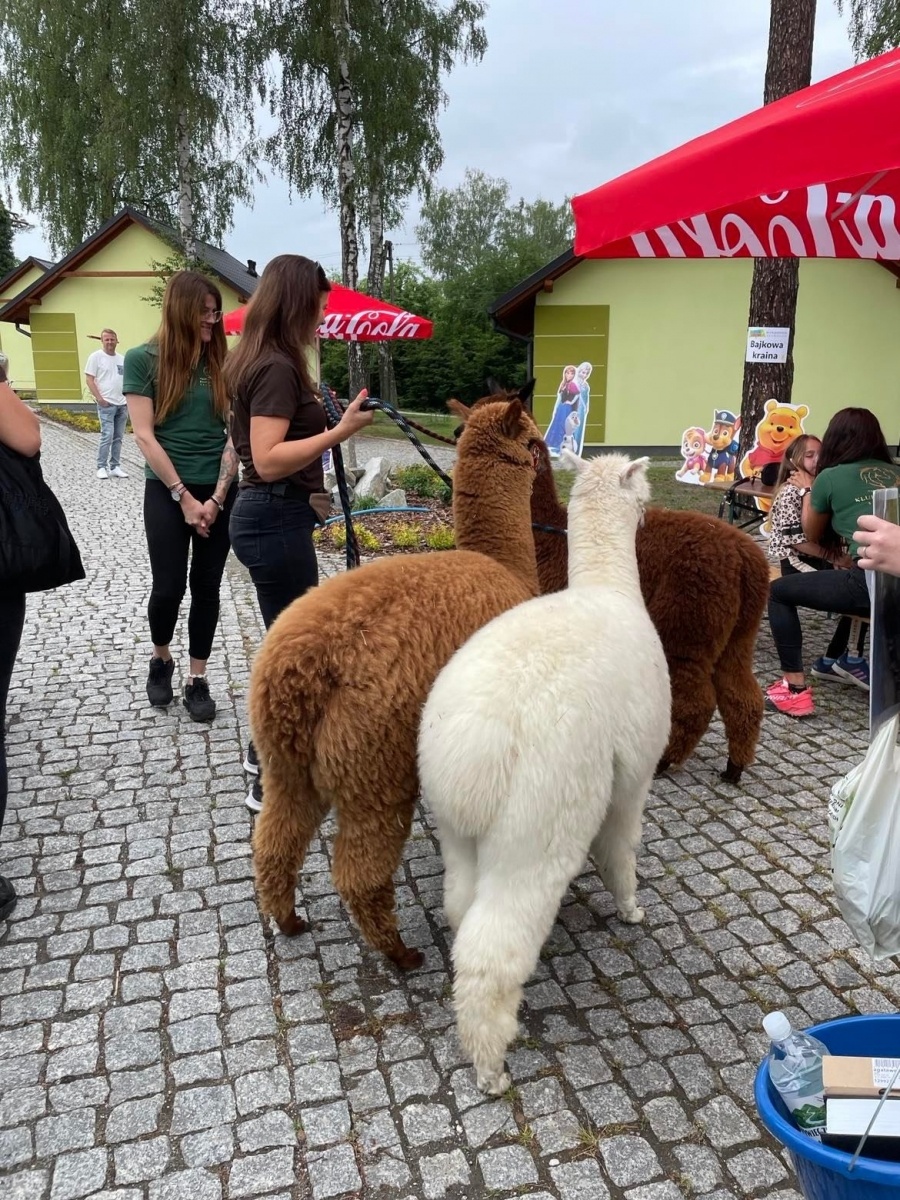 Zdjęcie w galerii na portalu naszraciborz.pl: Wielki piknik w Klubie Jeździeckim Aqua Brax Szymocice wiadomości z regionu