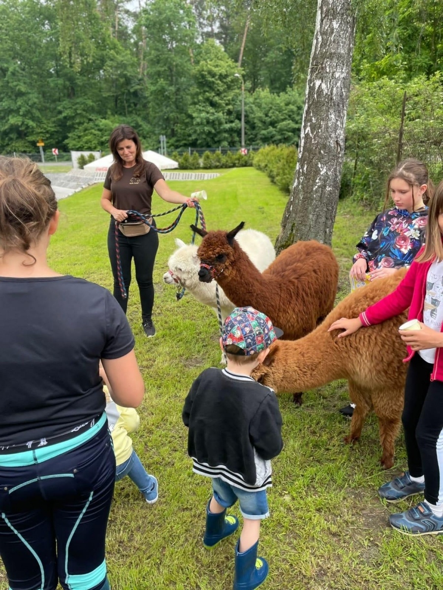 Zdjęcie w galerii na portalu naszraciborz.pl: Wielki piknik w Klubie Jeździeckim Aqua Brax Szymocice wiadomości z regionu
