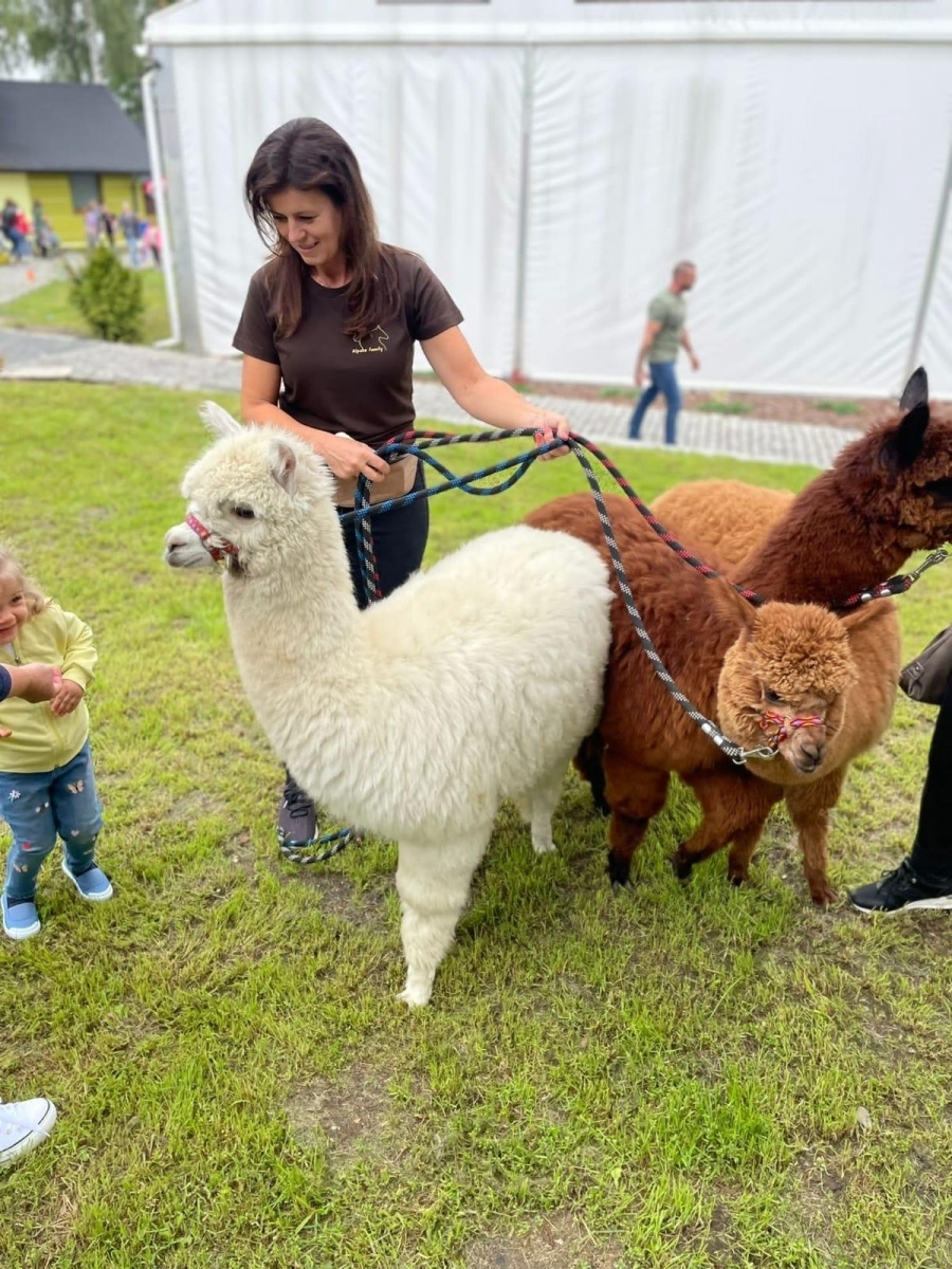 Zdjęcie w galerii na portalu naszraciborz.pl: Wielki piknik w Klubie Jeździeckim Aqua Brax Szymocice wiadomości z regionu
