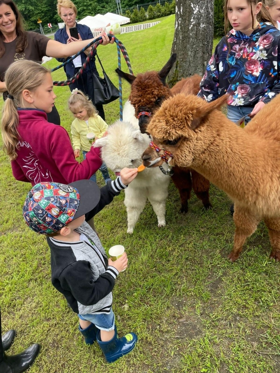 Zdjęcie w galerii na portalu naszraciborz.pl: Wielki piknik w Klubie Jeździeckim Aqua Brax Szymocice wiadomości z regionu