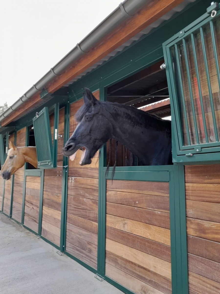 Zdjęcie w galerii na portalu naszraciborz.pl: Wielki piknik w Klubie Jeździeckim Aqua Brax Szymocice wiadomości z regionu